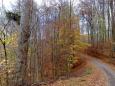 Uherskohradišťská