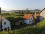 Kulkova vychytaná – „Chřibská“